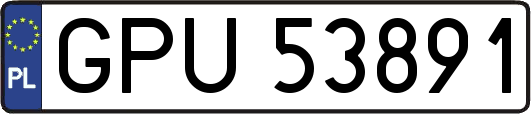 GPU53891
