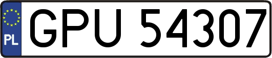 GPU54307