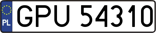 GPU54310