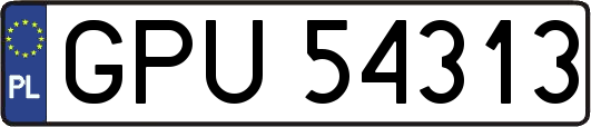 GPU54313