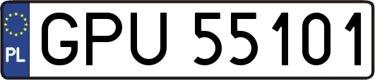 GPU55101