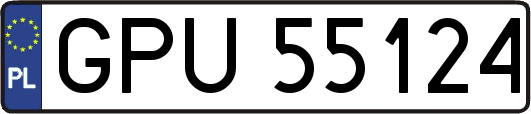 GPU55124