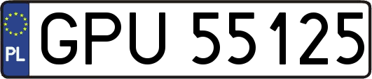 GPU55125