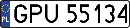 GPU55134