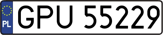 GPU55229