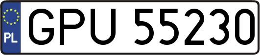 GPU55230