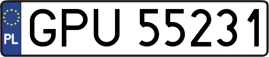 GPU55231