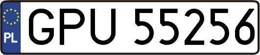 GPU55256
