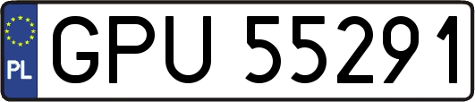 GPU55291