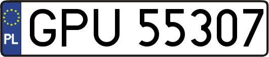 GPU55307
