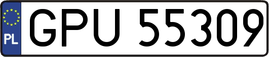 GPU55309