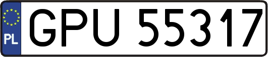 GPU55317