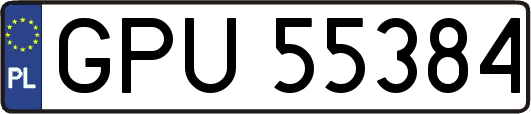 GPU55384