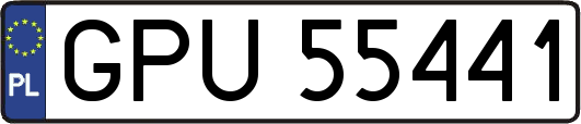 GPU55441