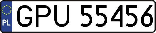 GPU55456