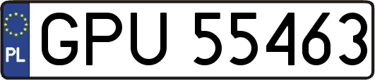 GPU55463