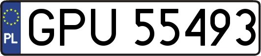 GPU55493