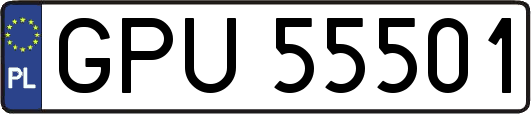 GPU55501