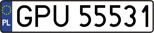 GPU55531