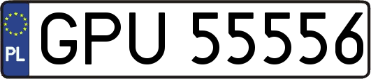 GPU55556