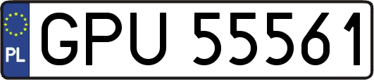 GPU55561