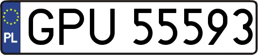 GPU55593