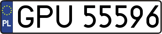 GPU55596
