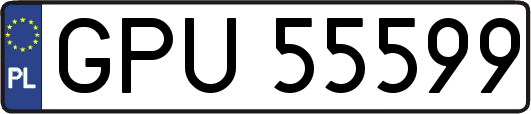GPU55599