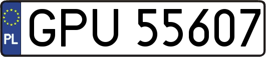 GPU55607