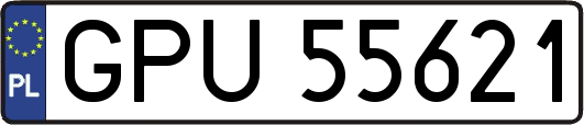 GPU55621