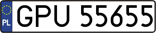 GPU55655