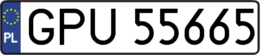 GPU55665