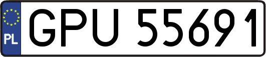 GPU55691