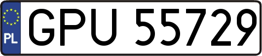 GPU55729