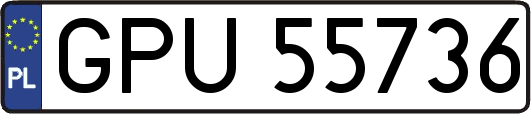 GPU55736