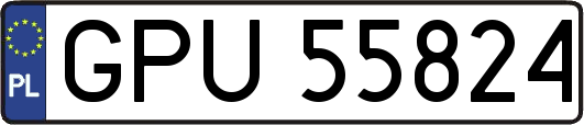 GPU55824