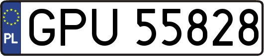 GPU55828