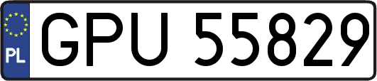 GPU55829