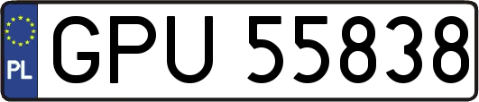 GPU55838