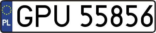 GPU55856