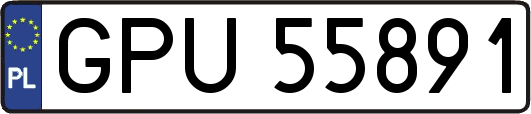 GPU55891
