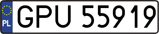 GPU55919
