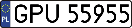 GPU55955