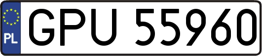 GPU55960