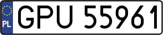 GPU55961