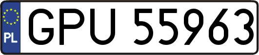 GPU55963