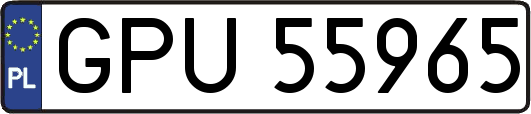 GPU55965