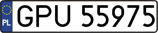 GPU55975