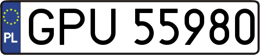 GPU55980