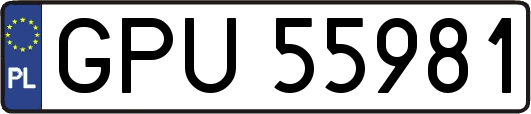 GPU55981